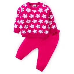 Babyhug Knitted Full Sleeves Pullover Sweater Set With Floral Design- Pink-picture-17