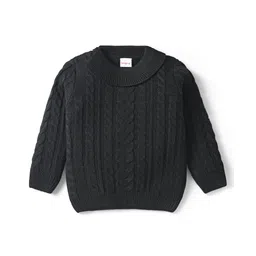 Babyhug Knitted Full Sleeves Sweater With Cable Knit Design - Black-picture-17