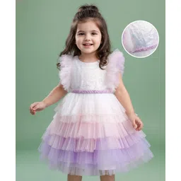 Babyhug Woven Frill Sleeves Layered Mesh Party Dress With Sequin Detailing - White-picture-28