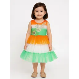 BAESD Embellished Fit & Flare Dress-picture-16