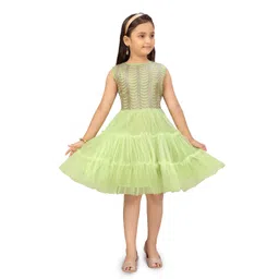 BAESD Embellished Net A-Line Frock-picture-30