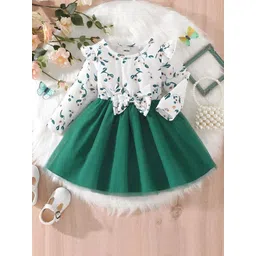 BAESD Floral Print A-Line Dress-picture-11