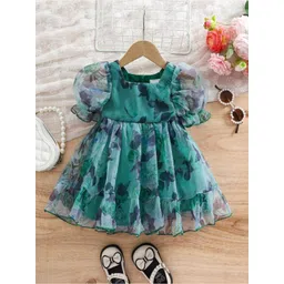 BAESD Floral Print Flutter Sleeve A-Line Dress-picture-55