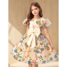 BAESD Floral Print Puff Sleeve Fit & Flare Dress-picture-41