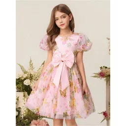 BAESD Floral Print Puff Sleeve Layered A-Line Dress-picture-35