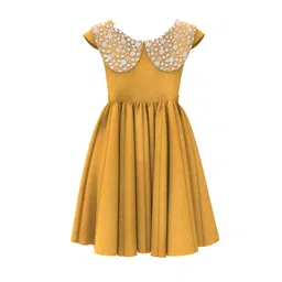 BAESD Flower Embroidered Neckline Fit & Flare Dress-picture-46