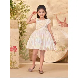 BAESD Girls Applique Lace Frills Bows and Ruffles Detailing Fit & Flare Mini Dress-picture-33