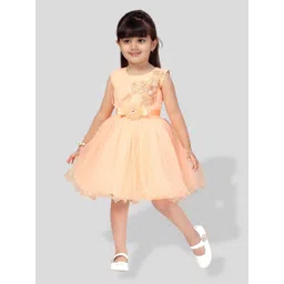 BAESD Girls Embellished Embroidered Detailed Net Fit & Flare Dress-picture-41