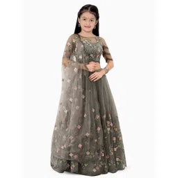 BAESD Girls Embroidered Net Semi-Stitched Lehenga & Unstitched Blouse With Dupatta-picture-12