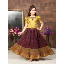 BAESD Girls Embroidered Ready to Wear Lehenga &-picture-30