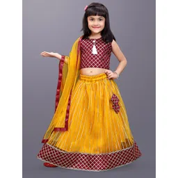 BAESD Girls Embroidered Ready to Wear Lehenga & Blouse With Dupatta-picture-45