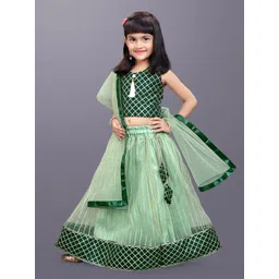 BAESD Girls Embroidered Ready to Wear Lehenga & Blouse With Dupatta image 1