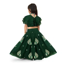 BAESD Girls Embroidered Ready to Wear Lehenga and Choli image 4