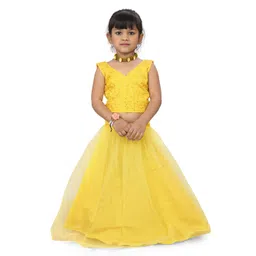 BAESD Girls Embroidered Thread Work Ready to Wear Lehenga & Choli-picture-47