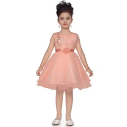 BAESD Girls Floral Embroidered Corsage Net Fit & Flare Dress-picture-17