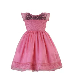 BAESD Girls Floral Embroidered Net Fit & Flare Dress-picture-12