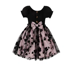 BAESD Girls Floral Embroidered Puff Sleeve Net Fit & Flare Dress-picture-19