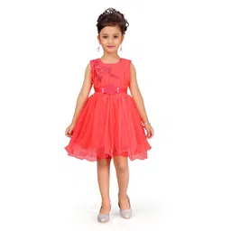 BAESD Girls Floral Embroidered Tulle Fit & Flare Dress-picture-52