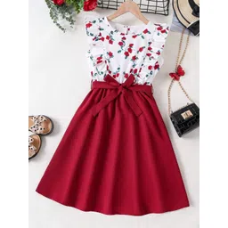 BAESD Girls Floral Printed Ruffled Fit and Flare Dress-picture-21