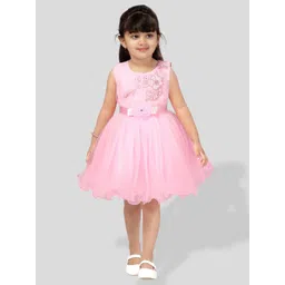 BAESD Girls Florl Embroidered Net Fit & Flare Dress-picture-14