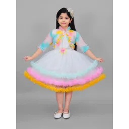 BAESD Girls Mandarin Collar Net Fit & Flare Dress-picture-51