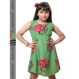 BAESD Girls Pack Of 2 Floral Printed A-Line Dress-picture-40