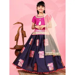 BAESD Girls Ready to Wear Lehenga & Blouse With Dupatta-picture-32