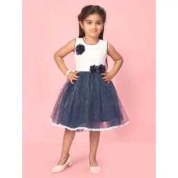 BAESD Girls Round Neck Self Design Net Fit and Flare Dress-picture-23