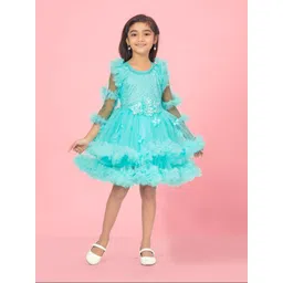 BAESD Girls Sequined Embellished Embroidered Round Neck Ruffles Net Fit & Flare Dress-picture-21