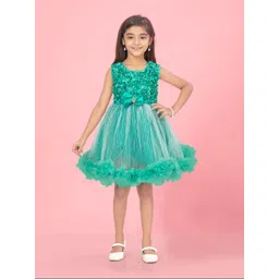 BAESD Net Fit & Flare Dress-picture-27