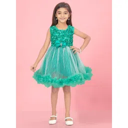 BAESD Net Fit & Flare Dress-picture-39