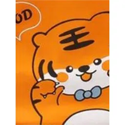 BAESD Unisex Kids Colourblocked T-shirt with Shorts image 5