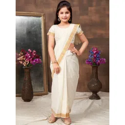 BAESD Zari Saree-picture-15