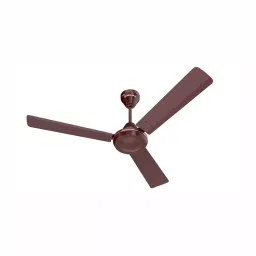 Bajaj Robusta 12S1 Brown 1200 mm Ceiling Fan, BJ251103EE-picture-26