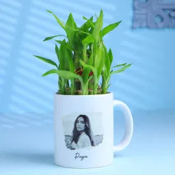 Bamboo Plant In A Personalised Mug For Her-picture-29