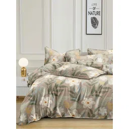 Banchmark Home Furnishings Beige & Off White Floral 200 TC King Bedsheet with 2 Pillow Covers-picture-11