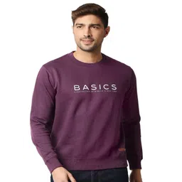 Basics Men Pullover-picture-17