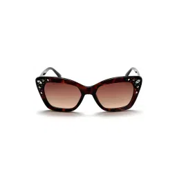 Bebe BB3039 Brown Gradient Cat Eye Sunglasses-picture-39