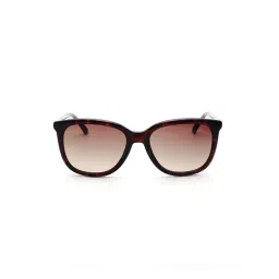 Bebe BB3052 Brown Gradient Square Sunglasses-picture-32