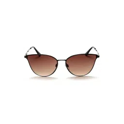 Bebe BB3065 Brown Gradient Cat Eye Sunglasses-picture-36