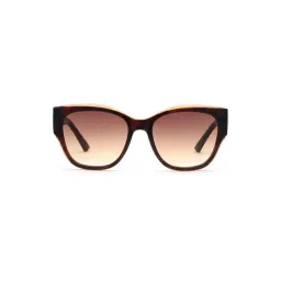 bebe Brown Round Sunglasses for Women-picture-12