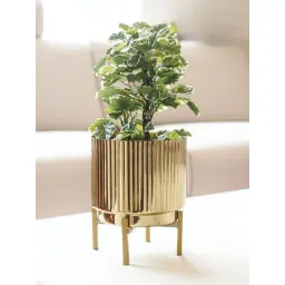 BEHOMA Gold Metal Fluted Planter (8 Inch)-picture-29
