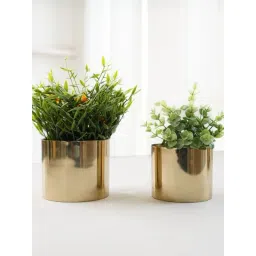 BEHOMA Home Collection Gold Metal Tabletop Planter - Set of 2-picture-46