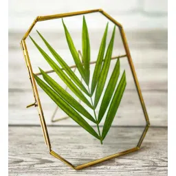 behoma Octagon (6x8) Gold Metal Photo Frames-picture-37