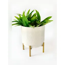BEHOMA White Textured Metal Indoor Planter With Holder-picture-40