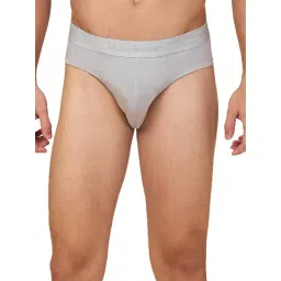 Being Human Grey Regular Fit Brief image 1