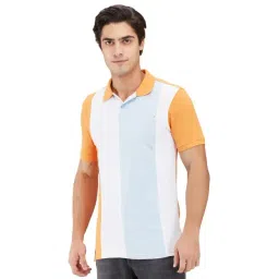 Being Human Multicolor Regular Fit Colour Block Polo T-Shirt-picture-28