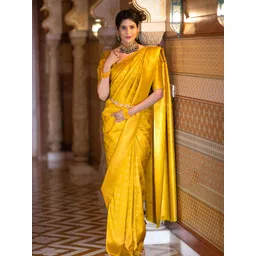 BerMondsey Woven Design Zari Banarasi Saree-picture-25