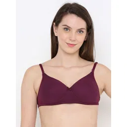 Berrys Intimatess Magenta Lightly Padded Bra-picture-31