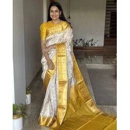 besucher Women Banarasi Woven Saree with Contrast Border-picture-10